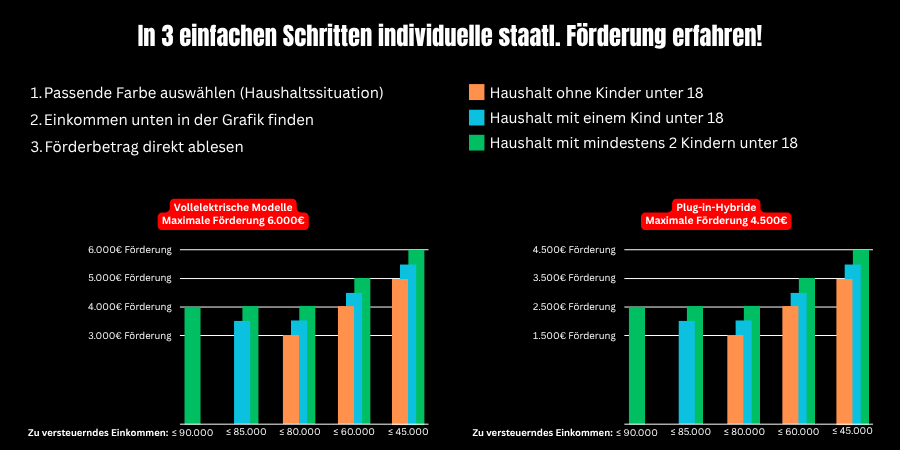 elektrobonusprämie infografik